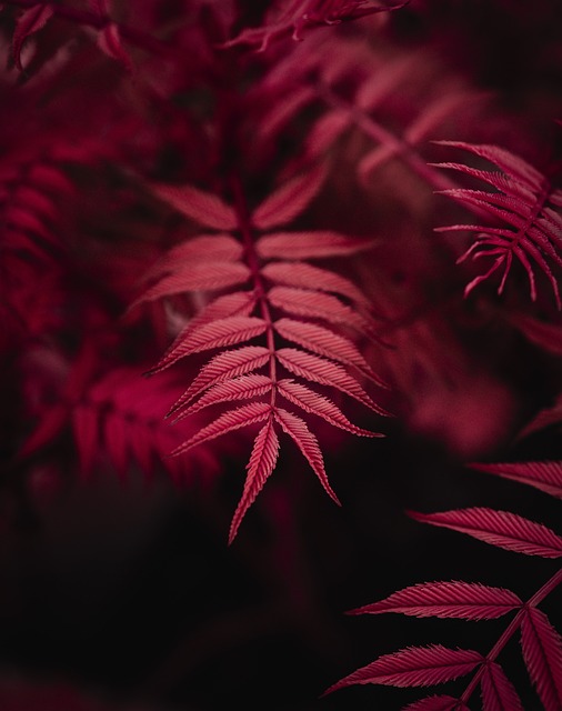 Image cyclingmapsonline.co.uk 1528 1745991825654