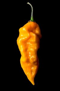 Image cyclingmapsonline.co.uk 1900 1746256388916