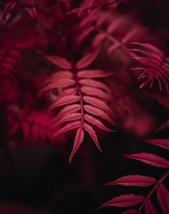 Image cyclingmapsonline.co.uk 2170 1746655542749